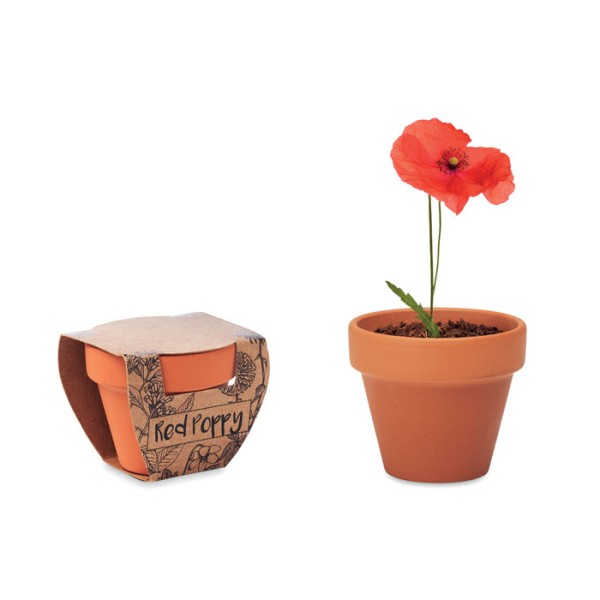 Vaso Red Poppy