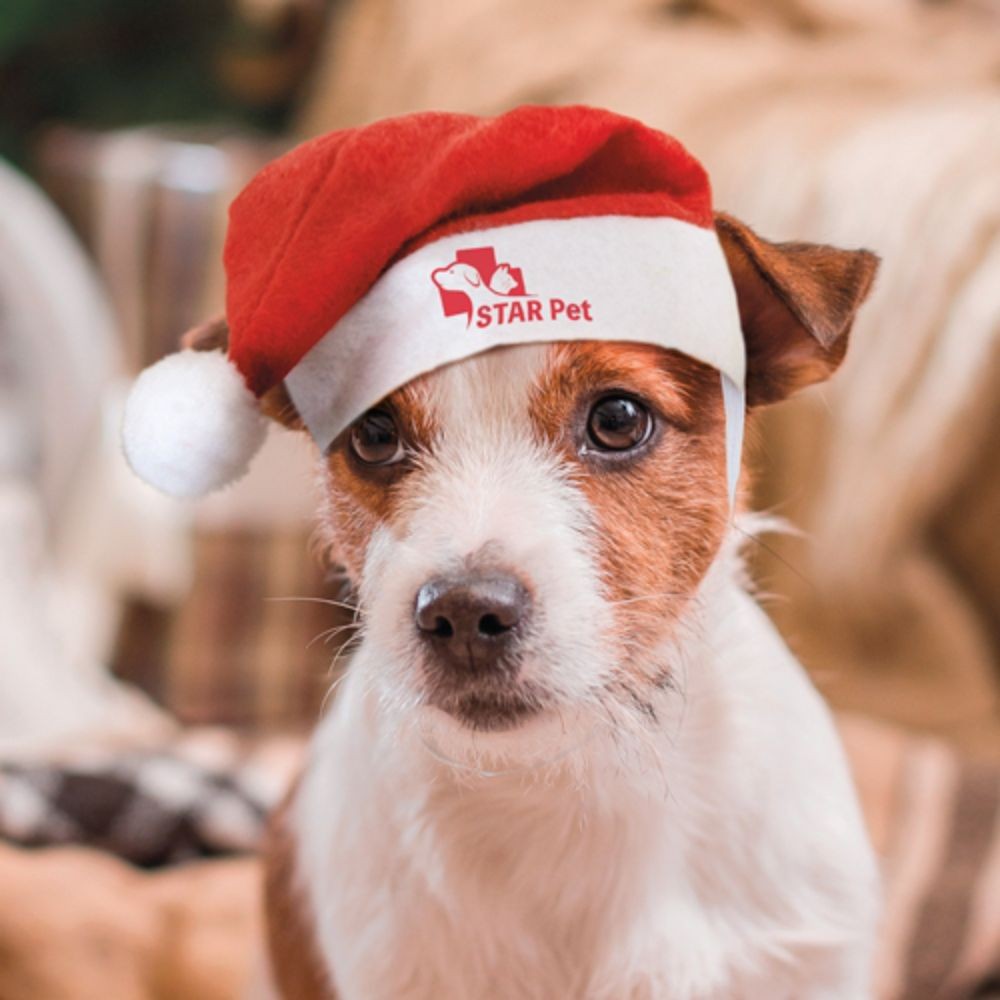 Gorro de Natal Pipo