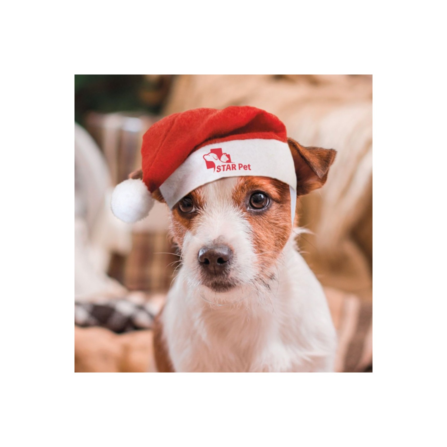 Gorro de Natal Pipo
